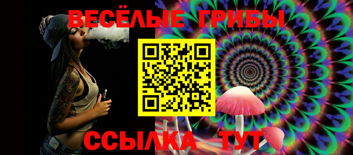 Галлюциногенные грибы Psilocybe Трёхгорный